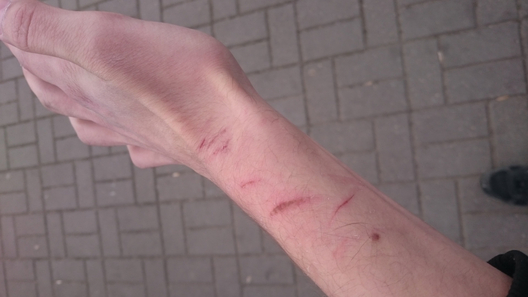 paboi_ruka.jpg paboi_ruka.jpg