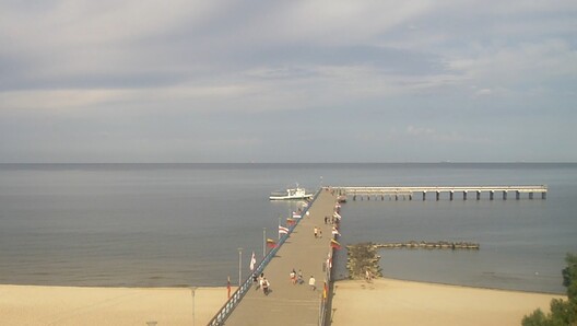 palanha_1_logo.jpg palanha_1_logo.jpg