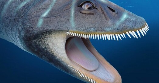 Навукоўцы высветлілі спосаб харчавання антарктычнага плезіязаўра