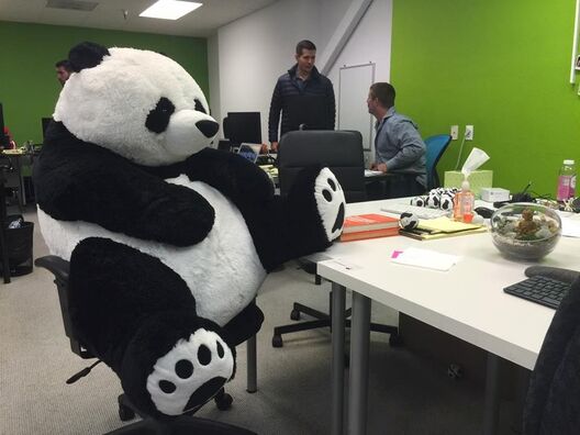 panda_working_really_hard_on_a_friday_afternoon.jpg panda_working_really_hard_on_a_friday_afternoon.jpg