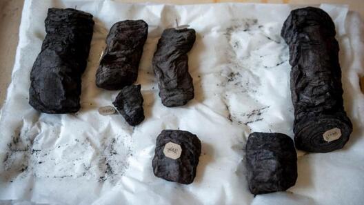 Так выглядаюць папірусы  Геркуланума, якія перажылі вывяржэнне Везувія. Фота  Так выглядаюць папірусы  Геркуланума, якія перажылі вывяржэнне Везувія. Фота