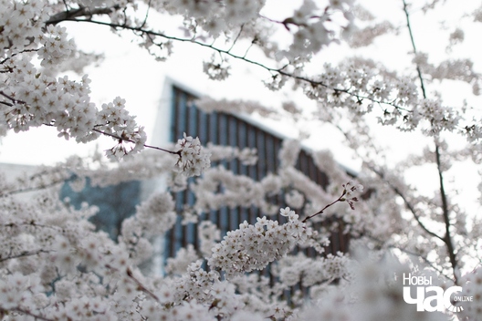 1/8 park_imja_ciune_suhihary_1_logo.jpg