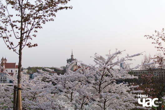 5/8 park_imja_ciune_suhihary_5_logo.jpg