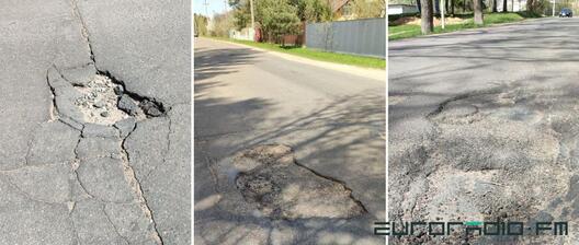 parroorrvvoorvr.jpg parroorrvvoorvr.jpg