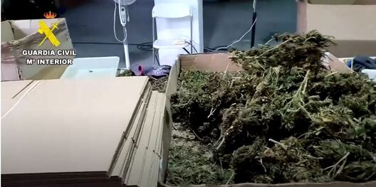 partyja_maryhuany_ispanija.jpg partyja_maryhuany_ispanija.jpg