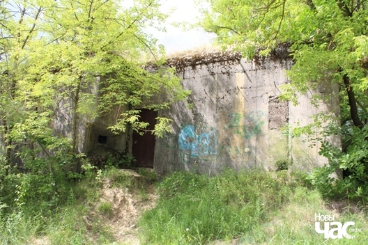 Паўкапанір Паўкапанір