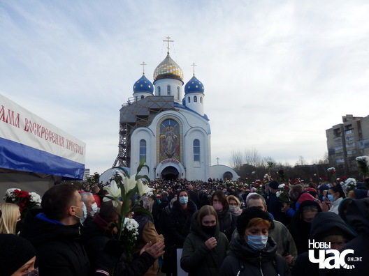 5/5 pb203065_logo.jpg