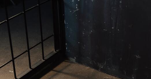 Хронікі рэпрэсій: у Оршы затрымалі цэлую сям'ю, пераслед сям'і святара за рэпосты ў сацсетках