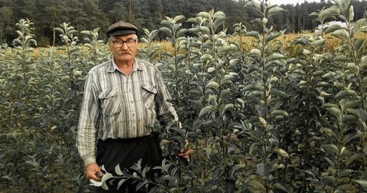 Пенсіянер, асуджаны за крытыку паправак у Канстытуцыю, выйшаў на волю