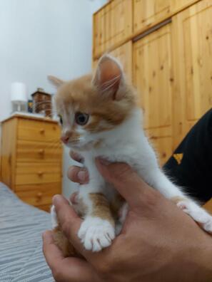 photo_2020_09_03_20_16_15__4__logo.jpg photo_2020_09_03_20_16_15__4__logo.jpg