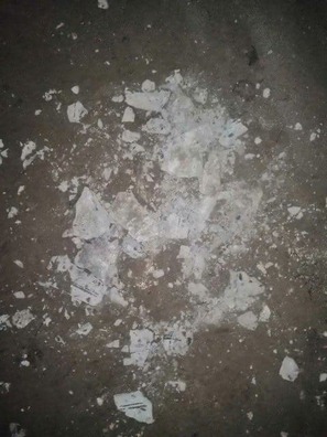 photo_2021_11_14_12_14_26.jpg photo_2021_11_14_12_14_26.jpg