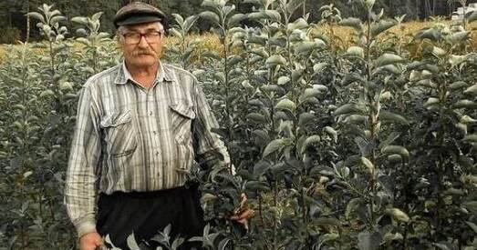 68-гадовага пенсіянера пасадзілі на васем месяцаў