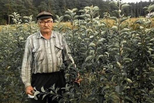 photo_2022_06_07_14_30_05.jpg photo_2022_06_07_14_30_05.jpg