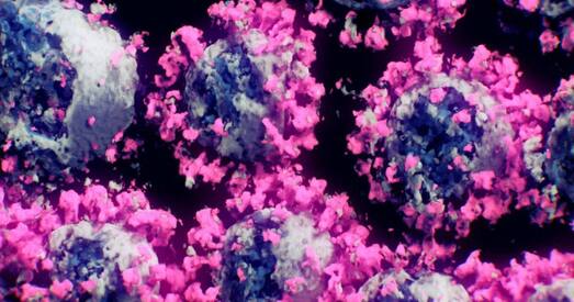 «Амікрон-ніндзя»: першы выпадак у Беларусі