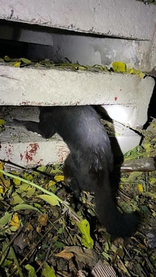 2/4 photo_2022_10_28_08_31_43.jpg