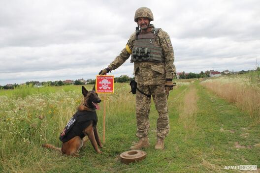 photo_2022_11_03_14_41_01.jpg photo_2022_11_03_14_41_01.jpg