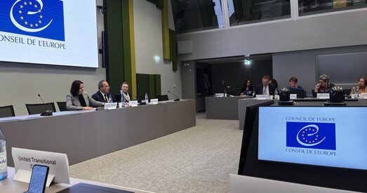 Дэмсілы правялі сустрэчу з Радай Еўропы