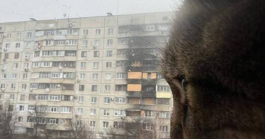 298-я суткі вайны ва Украіне: вяртанне ката Сцяпана і святочныя ялінкі ў гарадах