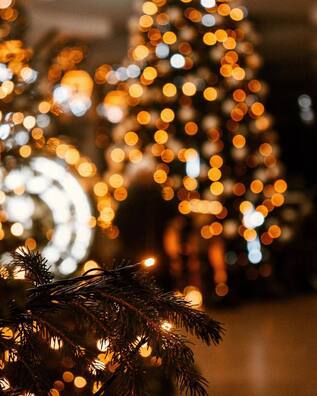 5/9 photo_2022_12_18_10_27_58.jpg