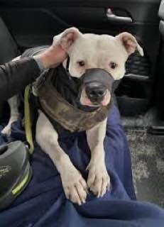 2/2 photo_2022_12_31_19_16_08.jpg