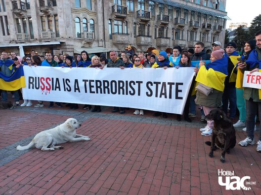 11/11 photo_2023_02_24_19_15_33_logo.jpg