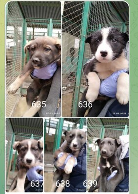 photo_2023_03_15_16_13_25.jpg photo_2023_03_15_16_13_25.jpg