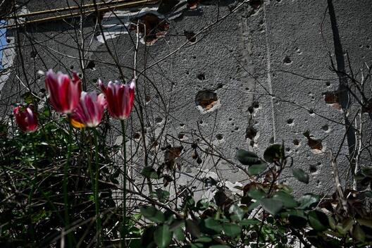 Фота з тэлеграм-канала Уладзіміра Зяленскага Zelenskiy / Official Фота з тэлеграм-канала Уладзіміра Зяленскага Zelenskiy / Official