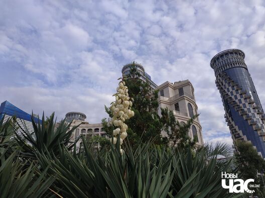 photo_2024_03_24_17_51_51_logo.jpg photo_2024_03_24_17_51_51_logo.jpg