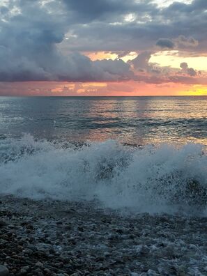 photo_2024_03_24_17_52_47_logo.jpg photo_2024_03_24_17_52_47_logo.jpg