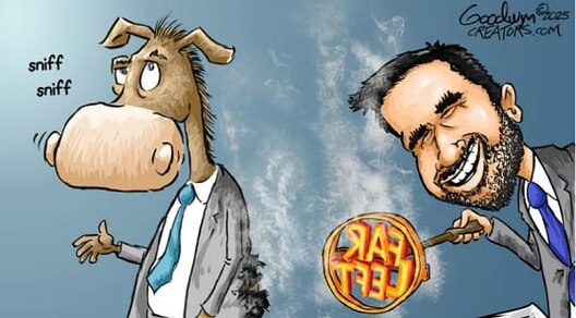 photo_2025_11_09_14_29_38.jpg photo_2025_11_09_14_29_38.jpg