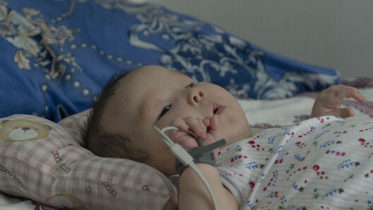 photo_390496.jpeg photo_390496.jpeg