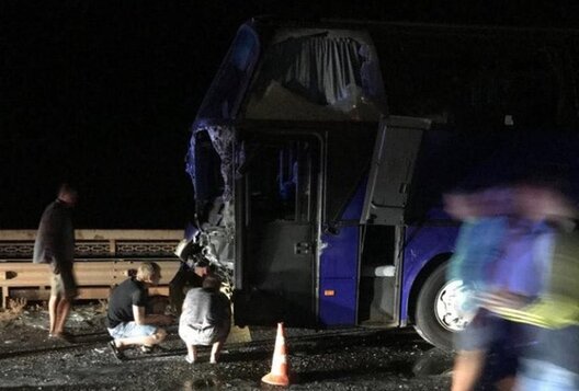 dumskaya.net dumskaya.net