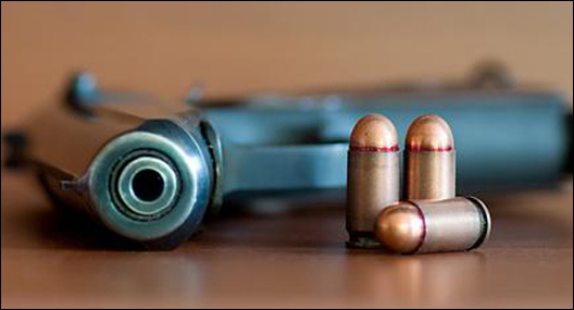 pistolet_2.jpg pistolet_2.jpg