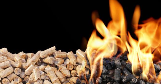 З-за санкцый у Расіі могуць пачаць гарэць лясы. І вось чаму