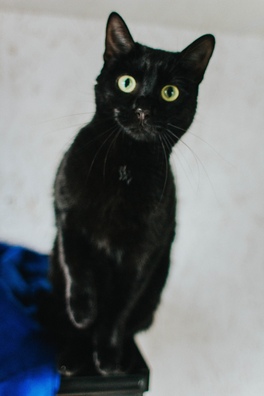 pnb20i_k1_hb_i_logo.jpg pnb20i_k1_hb_i_logo.jpg