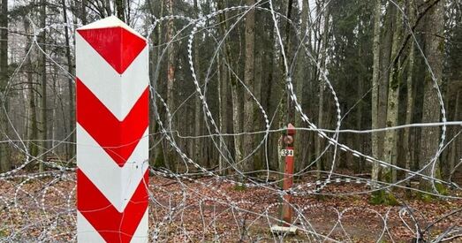 За суткі 56 чалавек спрабавалі нелегальна перасячы польска-беларускую мяжу