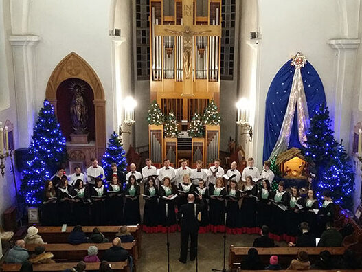 radiomaria.by radiomaria.by