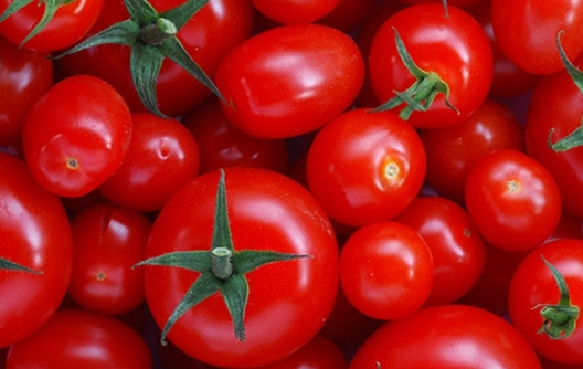 pomidorov_2.jpg pomidorov_2.jpg