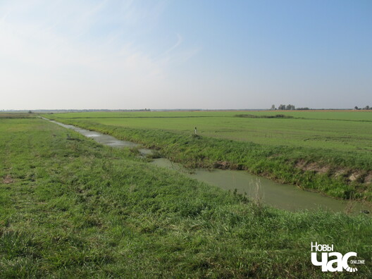На шляху з Літоўску ў Пярковічы На шляху з Літоўску ў Пярковічы