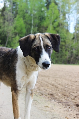 pwsept99hew_logo.jpg pwsept99hew_logo.jpg