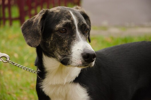 q5ajoitotgu_logo.jpg q5ajoitotgu_logo.jpg