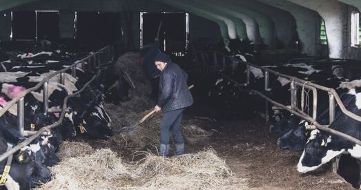 Тры ідэі, як здзівіць Лукашэнку