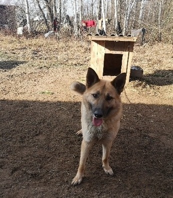 rdlsfktnjli__2__logo.jpg rdlsfktnjli__2__logo.jpg