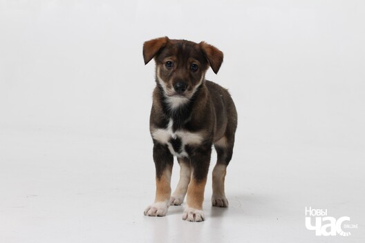 riom2x_01xm_logo.jpg riom2x_01xm_logo.jpg