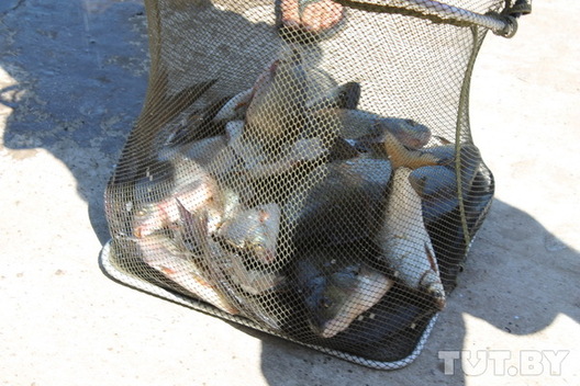 rybolovnyy_turnir_v_gomele_14_novyy_razmer.jpg rybolovnyy_turnir_v_gomele_14_novyy_razmer.jpg