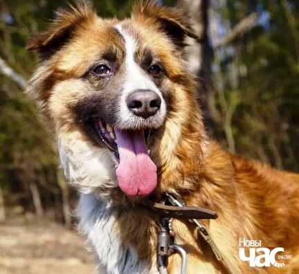 s2_3_logo.jpg s2_3_logo.jpg