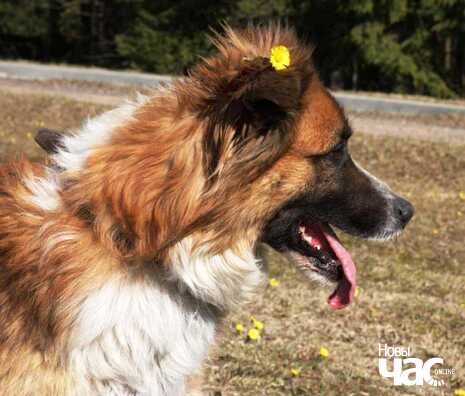 s4_1_logo.jpg s4_1_logo.jpg