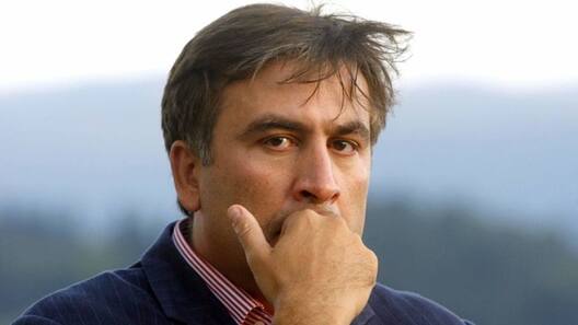saakashvili_panika.jpg saakashvili_panika.jpg