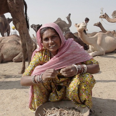 4/5 sajt_photo_2_poop_on_poverty_489.jpg