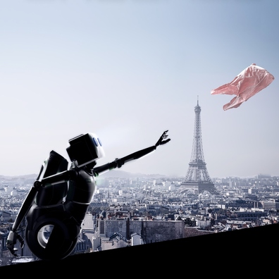 5/5 sajt_saccage_a1_portrait.jpg